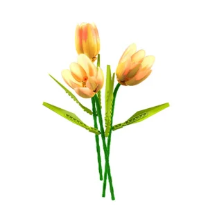 Bouquet de fleurs Tulipe Plante mini blocs